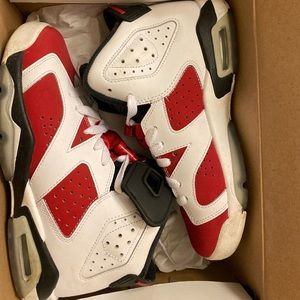 Retro Jordan carmine 6s